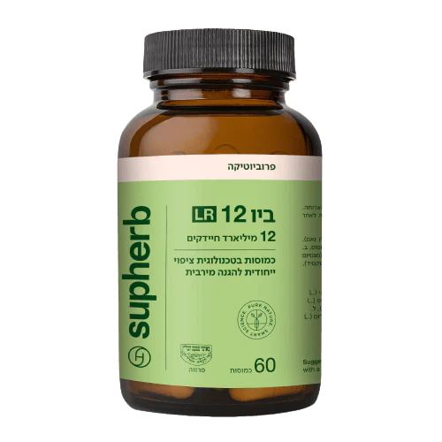 תמונת מוצר 2