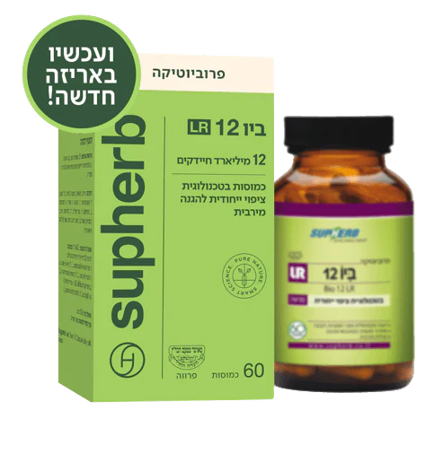 תמונת מוצר 4