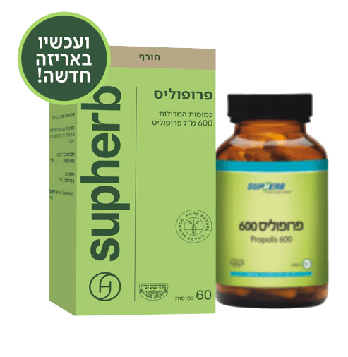 תמונת מוצר 4