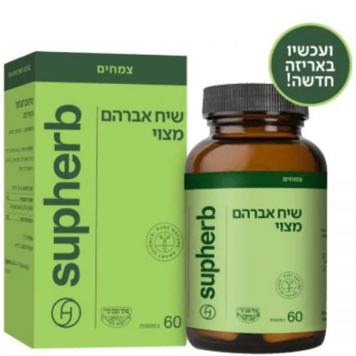 תמונת מוצר 1