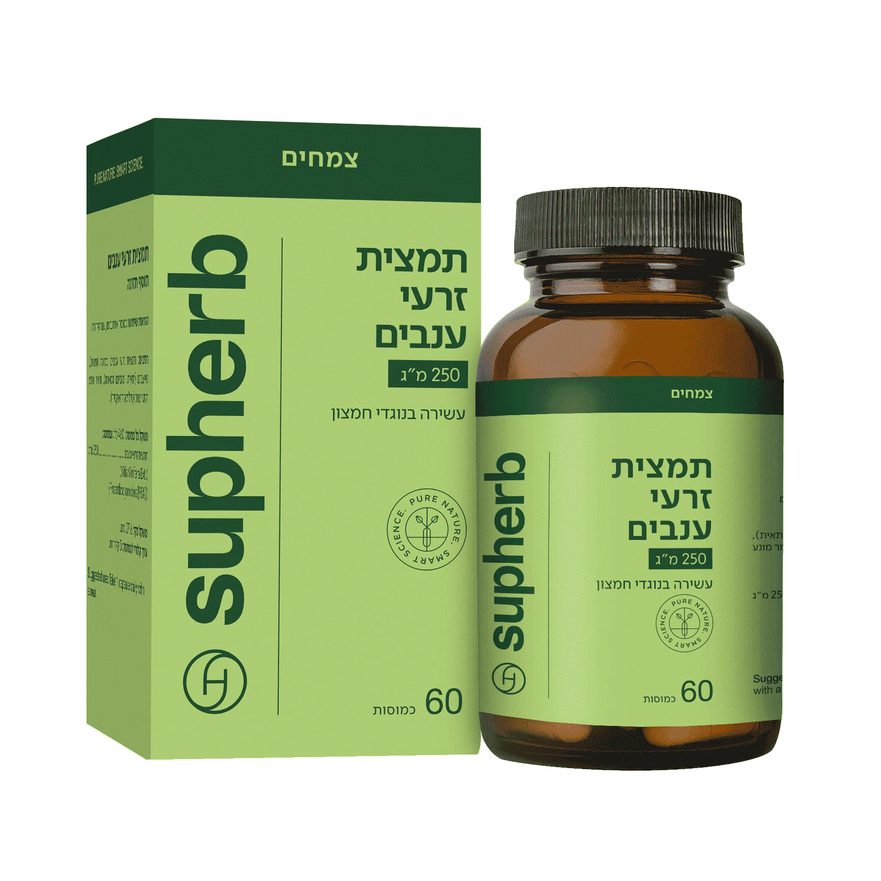 תמונת מוצר 1