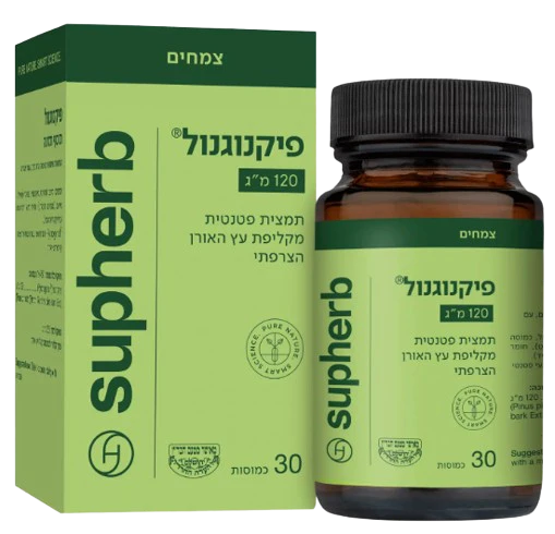 תמונה ממוזערת 1