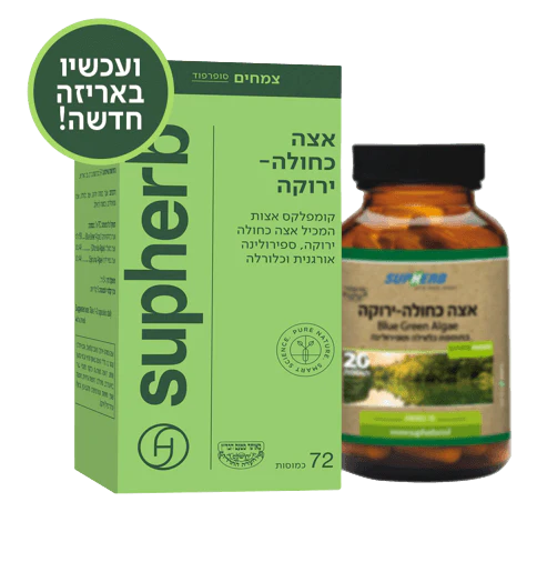 תמונת מוצר 4