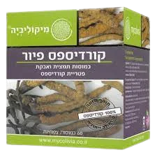 תמונת מוצר 1
