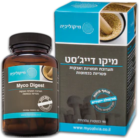 תמונה ממוזערת 1