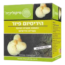 תמונת מוצר 1