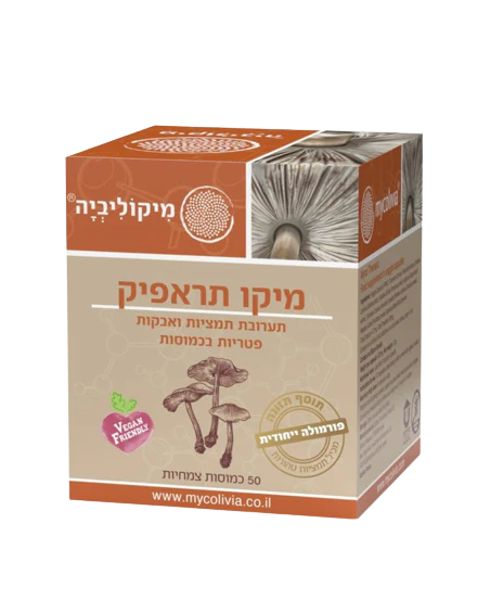 תמונת מוצר 1