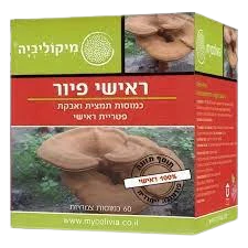 תמונת מוצר 1