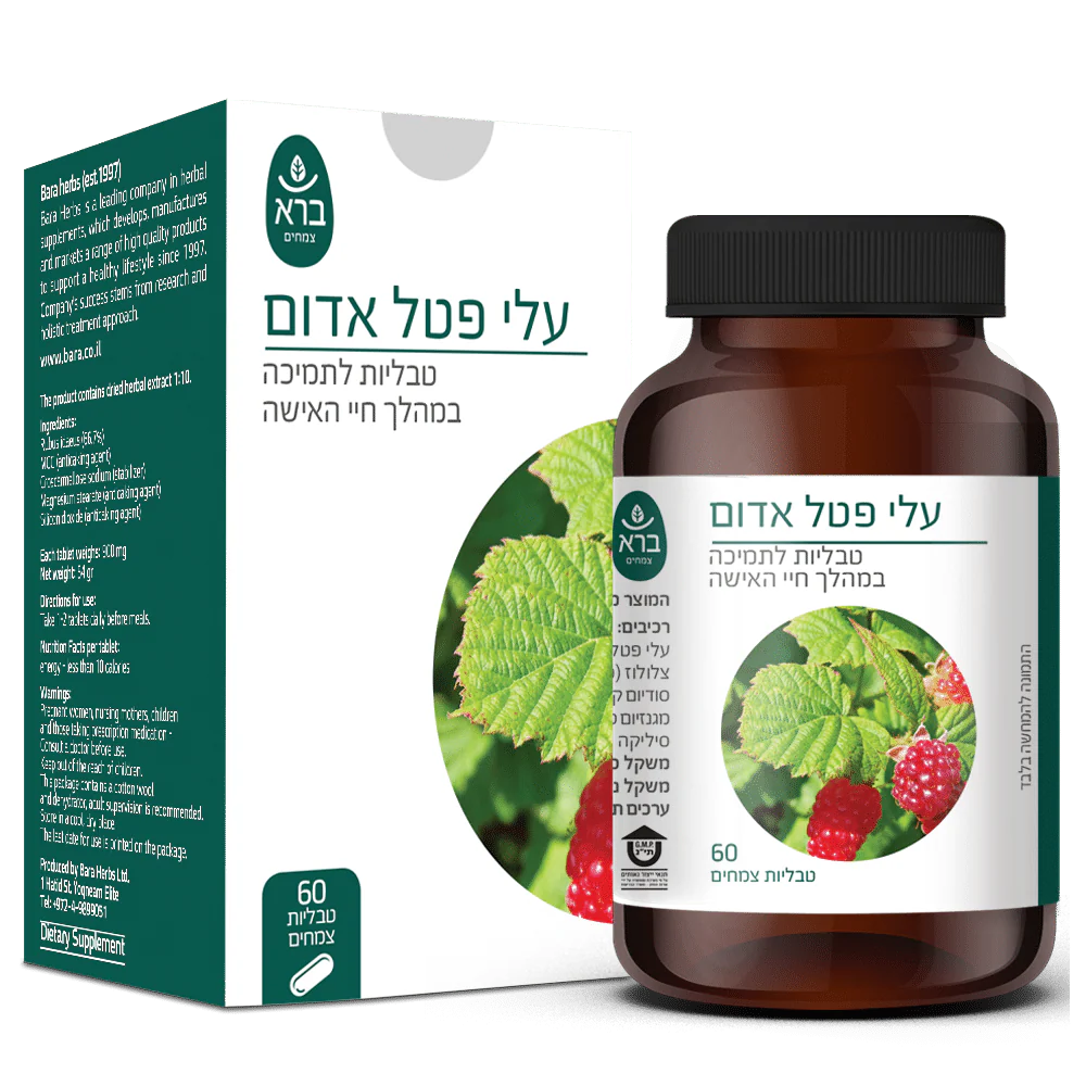 תמונת מוצר 1