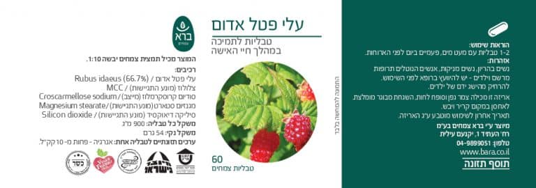 תמונת מוצר 2