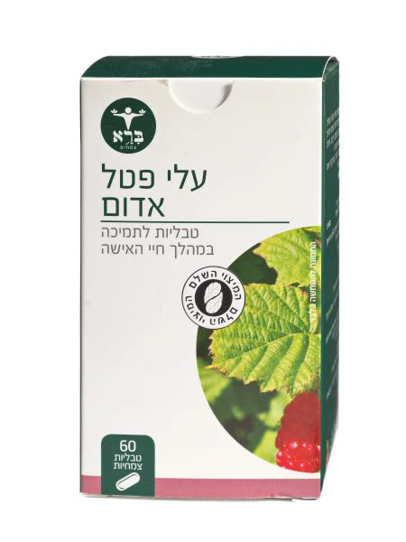 תמונת מוצר 3
