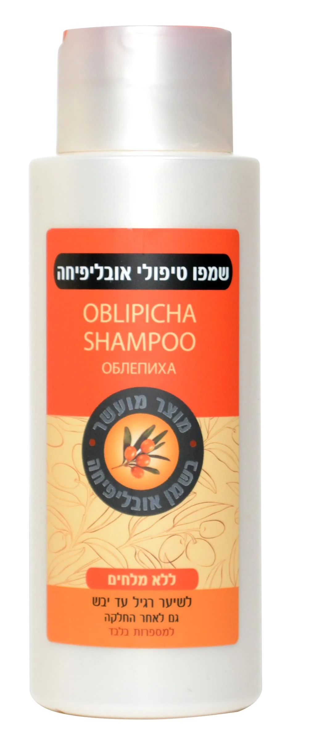 תמונה ממוזערת 1