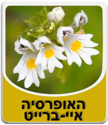 תמונת מוצר 1