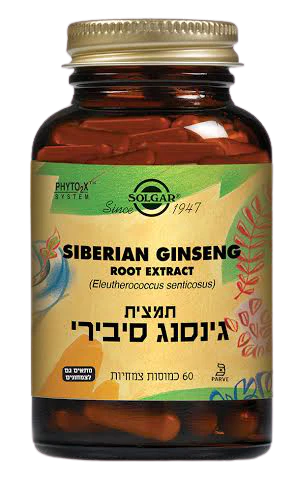תמונת מוצר 1