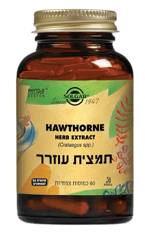 תמונת מוצר 1