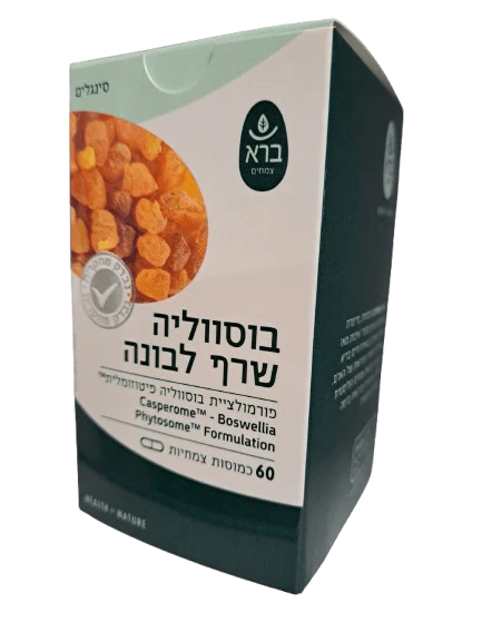 תמונת מוצר 1