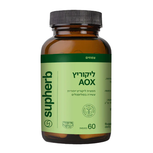 תמונת מוצר 2