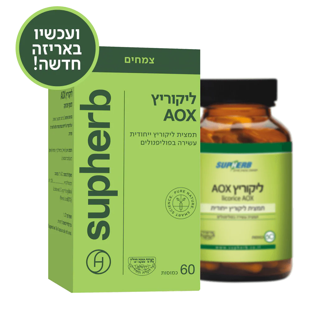 תמונת מוצר 4