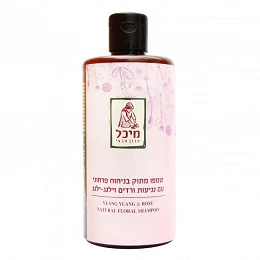 תמונה ממוזערת 1