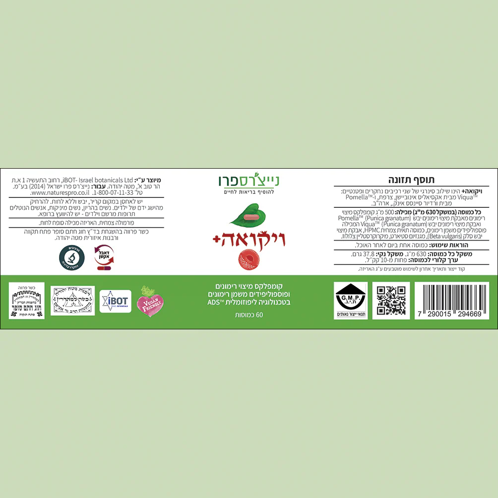 תמונה ממוזערת 2