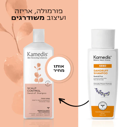 תמונת מוצר 1