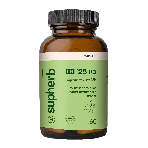 תמונה ממוזערת 2