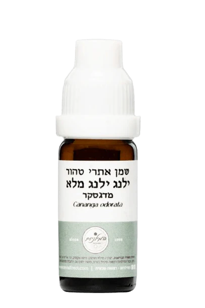 תמונה ממוזערת 1