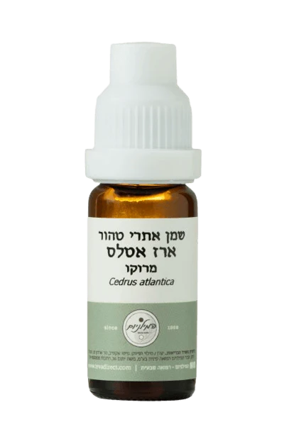 תמונה ממוזערת 1