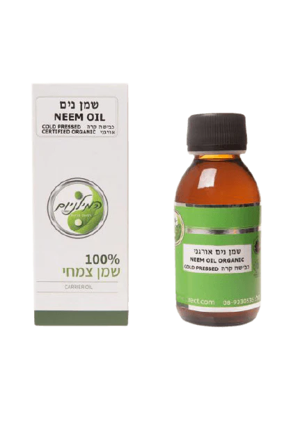 תמונה ממוזערת 1