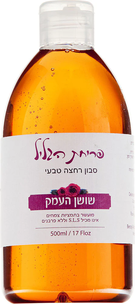 תמונה ממוזערת 1