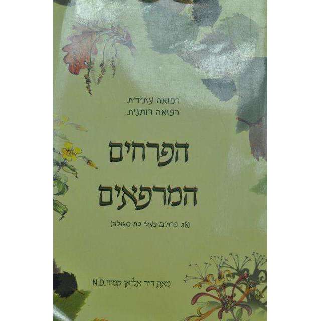 תמונת מוצר 1
