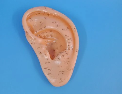 תמונת מוצר 1
