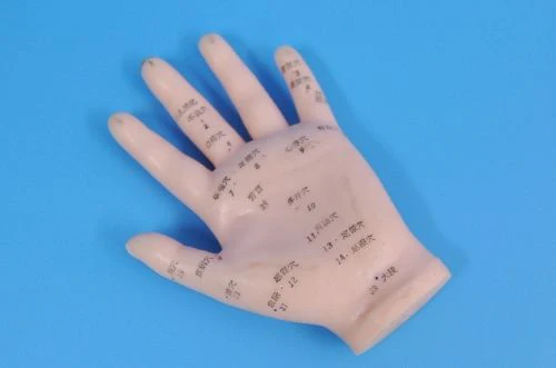 תמונת מוצר 1