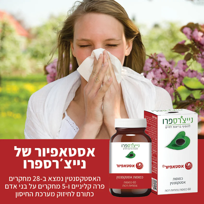 תמונת מוצר 2