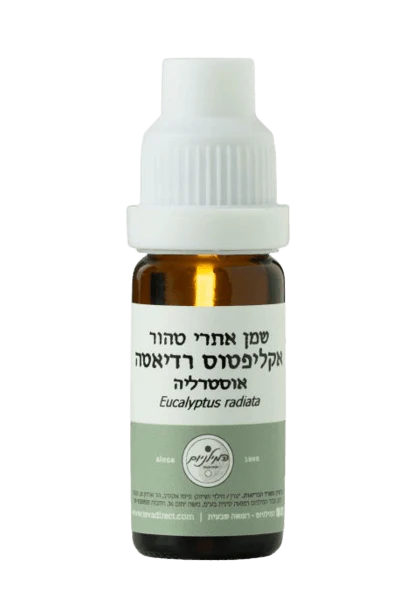 תמונת מוצר 1