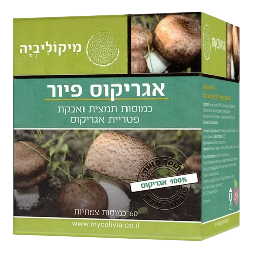 תמונה ממוזערת 1