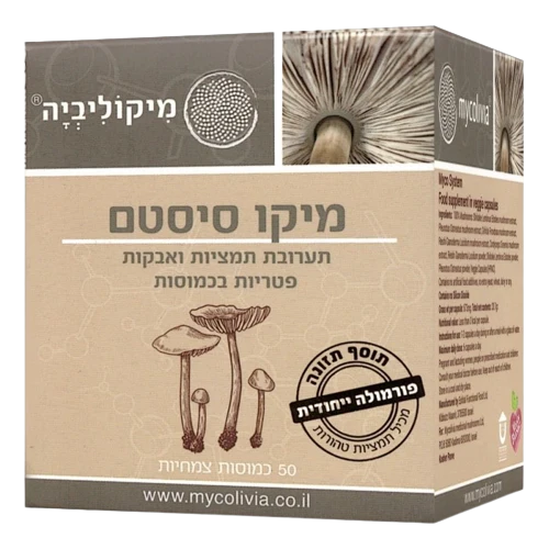 תמונה ממוזערת 1