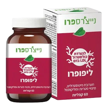 תמונת מוצר 1