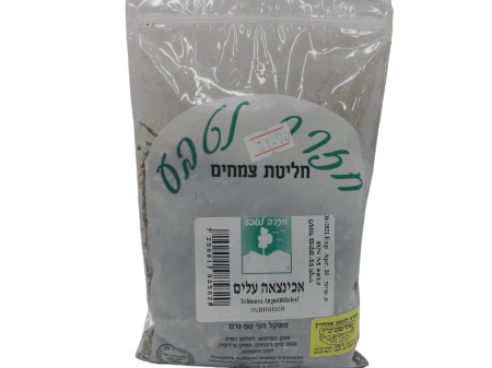 תמונת מוצר 1
