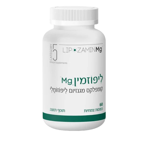 תמונת מוצר 1