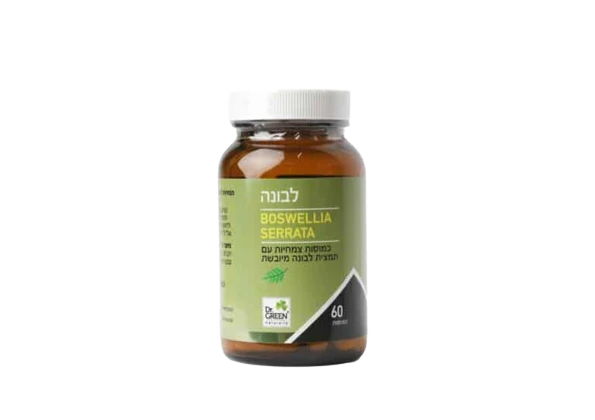 תמונת מוצר 1