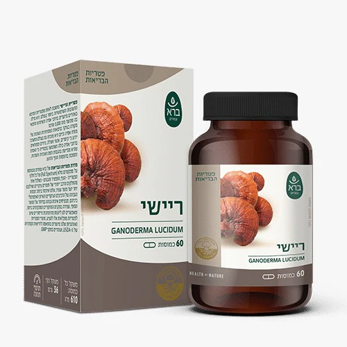 תמונת מוצר 1