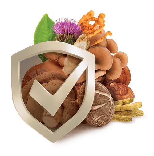 תמונת מוצר 3